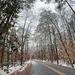 Daily Walk