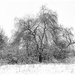 Winter Has Come by przemekm