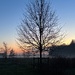 Tranquil evening by lizgooster