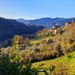 Last of Lucignana for a while... by will_wooderson