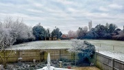 12th Jan 2025 - Frost Continues