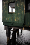 13th Jan 2025 - Kirribilli Wharf 2