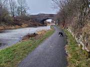 11th Jan 2025 - Frozen Canal