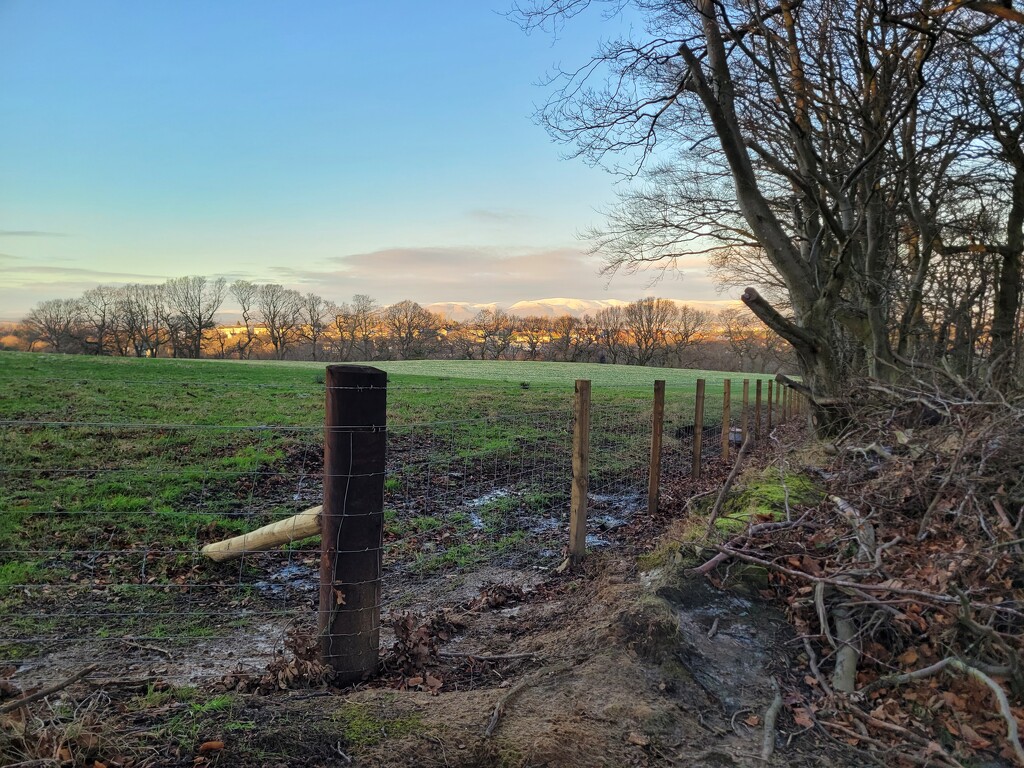 Wintry walk by clearday