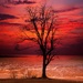 Dreaming by digitalrn