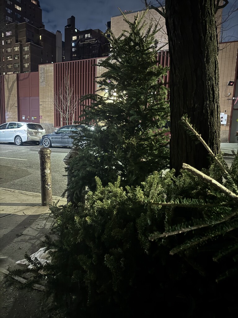Mulchfest by blackmutts