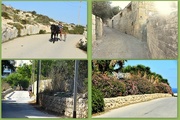 13th Jan 2025 - A WALK AOUND THE VILLAGE OF GHARGHUR 