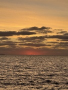 13th Jan 2025 - Morning