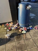 14th Jan 2025 - Sorry Sight