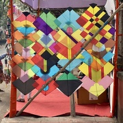 13th Jan 2025 - Kites