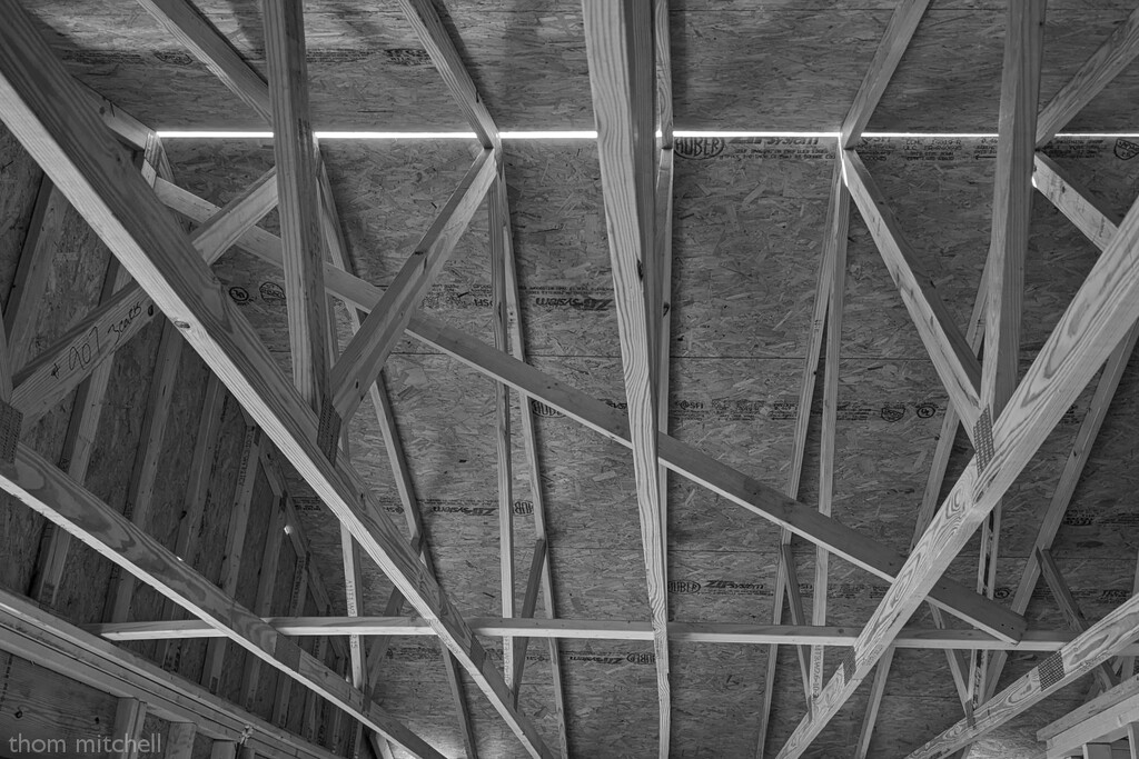 Lines by rhoing