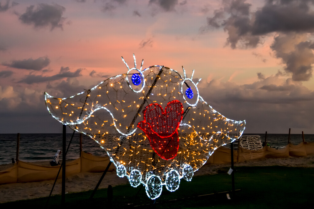 Happy Fish by danette