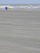10th Jan 2025 - I think they were here before....