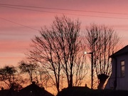 13th Jan 2025 - Morning Stripes 