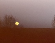 13th Jan 2025 - Full moon rising...