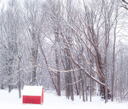 11th Jan 2025 - Winterlicious 