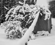 11th Jan 2025 - Snow Chain
