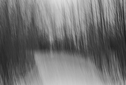 11th Jan 2025 - The Path-2