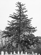 12th Jan 2025 - A grave subject