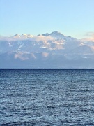 14th Jan 2025 - Lake view. 