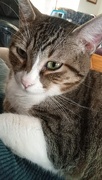 12th Jan 2025 - Pippi 
