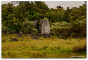 14th Jan 2025 - Waro Limestone Reserve..