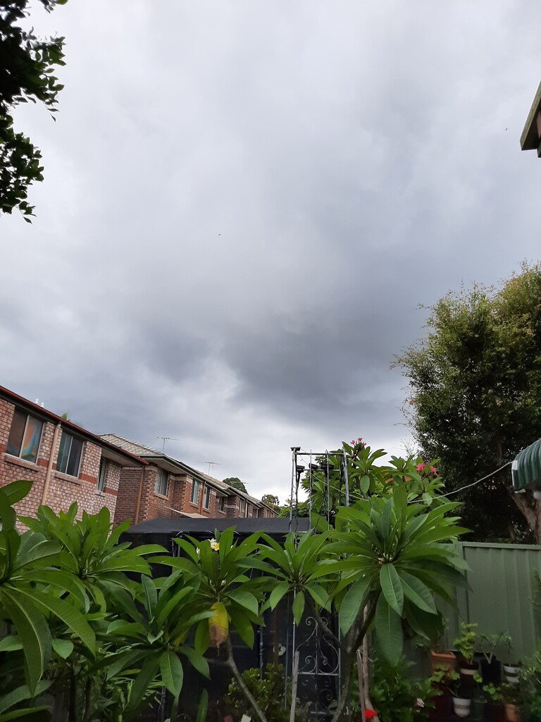 Stormy Weather  by mozette