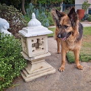 14th Jan 2025 - Jax