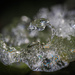 An ice formation by haskar
