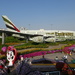 Miracle Garden