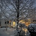 Backyard  by radiogirl