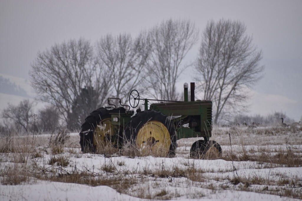 A Trusty Workhorse by bjywamer