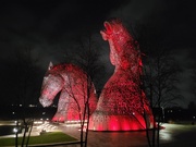 14th Jan 2025 - Red Kelpies