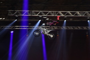 12th Jan 2025 - Bolddog FMX