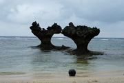 15th Jan 2025 - Heart of the Ocean"