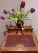 15th Jan 2025 - The writing desk and the tulips 