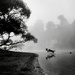 Morning fog