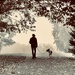 Walking the dog in the fog