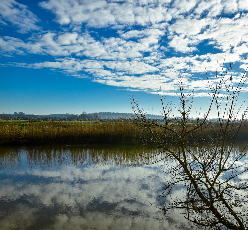 A Winter's Day by tiaj1402