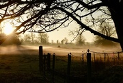 15th Jan 2025 - Returning Mist