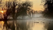 15th Jan 2025 - Hackthorn in the mist