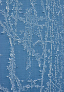 14th Jan 2025 - Ice on the shed door