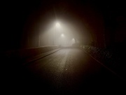 15th Jan 2025 - Foggy Night 