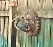 16th Jan 2025 - A Squirrel Picture. A Mockingbird Story