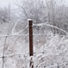 Icing sugar snow by ljmanning