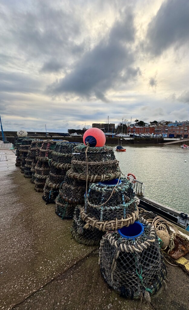Lobster Pots by cookingkaren