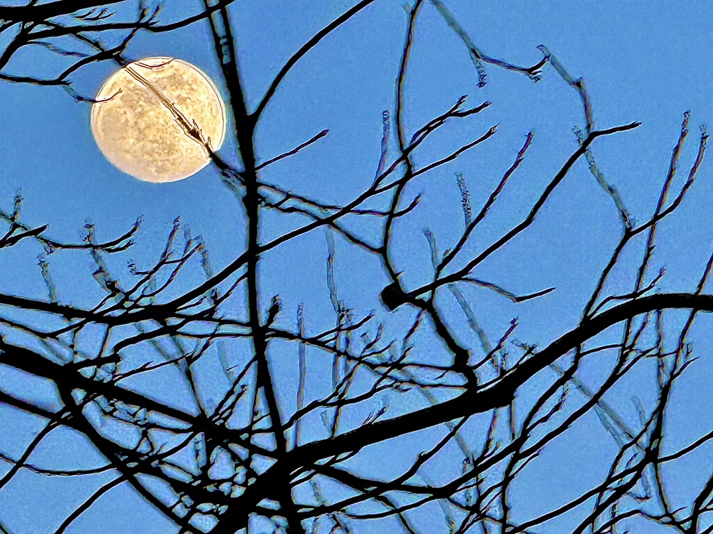 Full moon by congaree