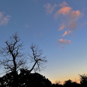 14th Jan 2025 - Winter sunset