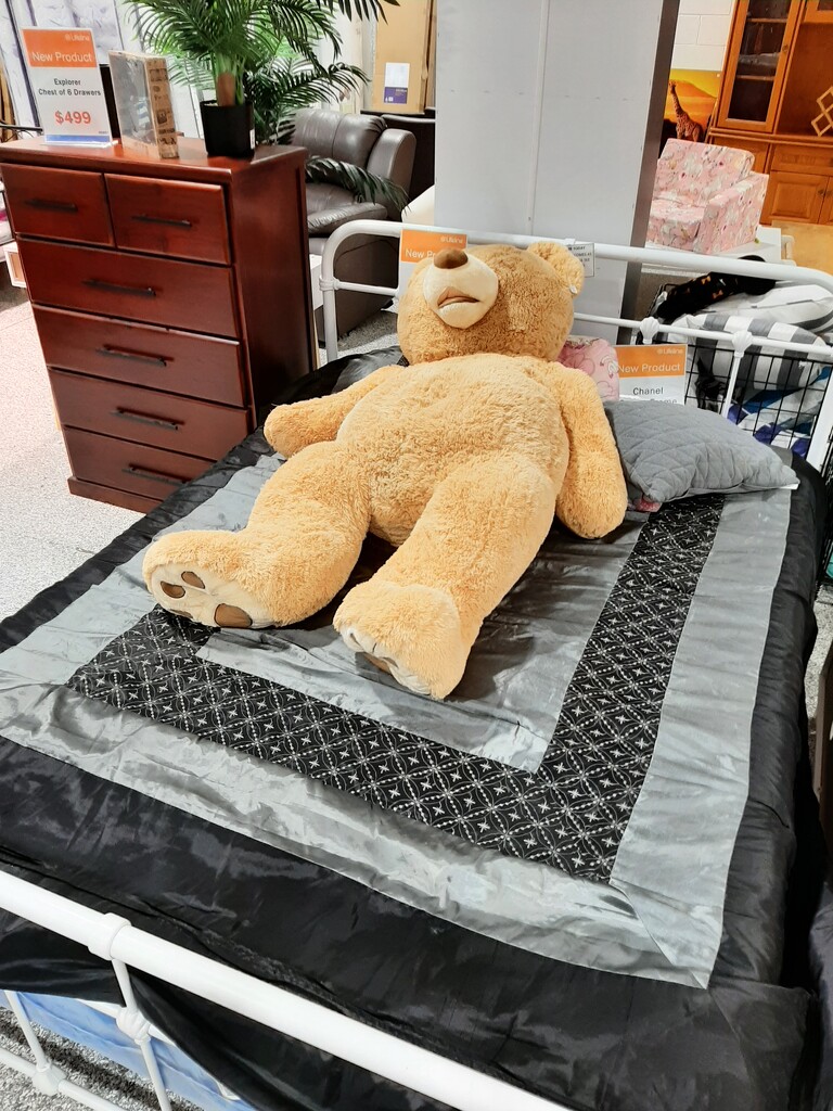 Big Bear! by mozette