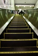 16th Jan 2025 - Endless Steps
